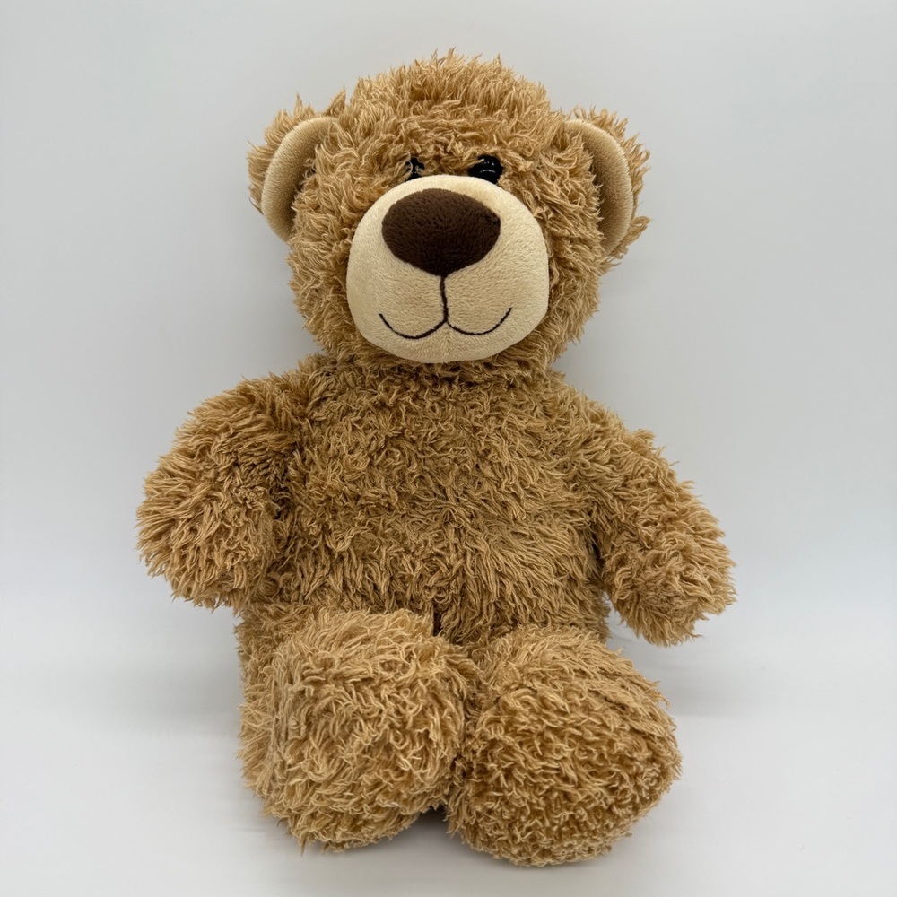 Build a Bear Workshop Shaggy Curly Brown Plush Teddy Retired Stuffed 2012